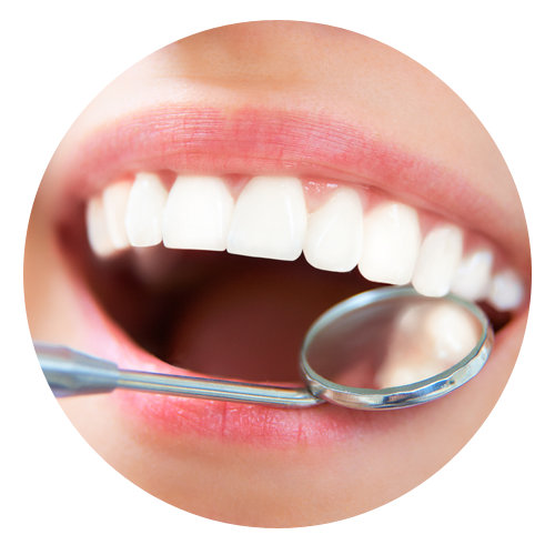 Ecosystème orale S5